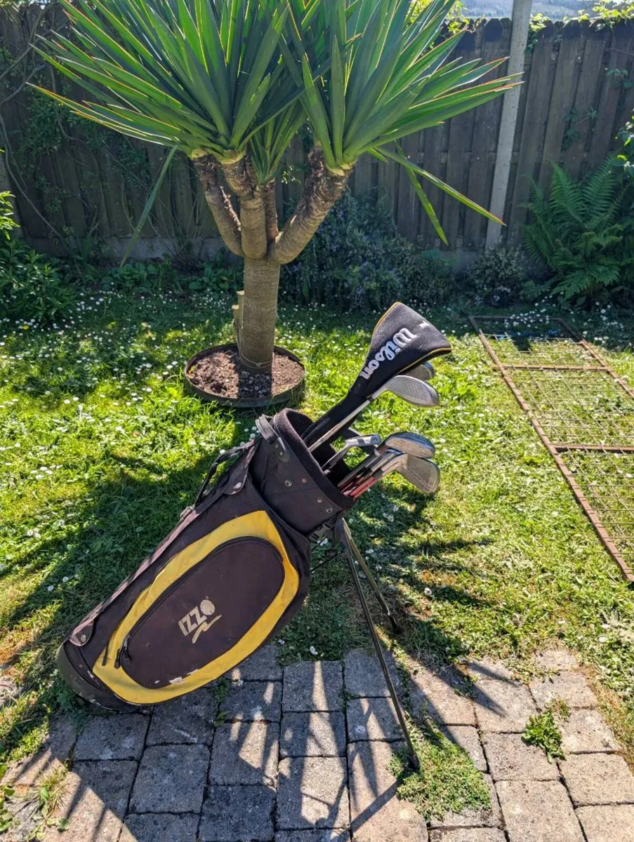 Ladies or mens Golf clubs - Image 1