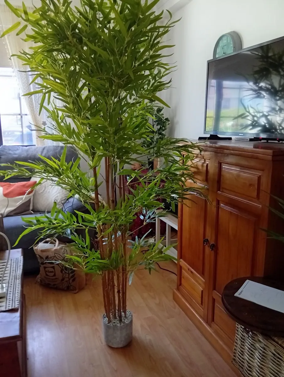 Large, 6 foot, artificial Bamboo plant . - Image 1