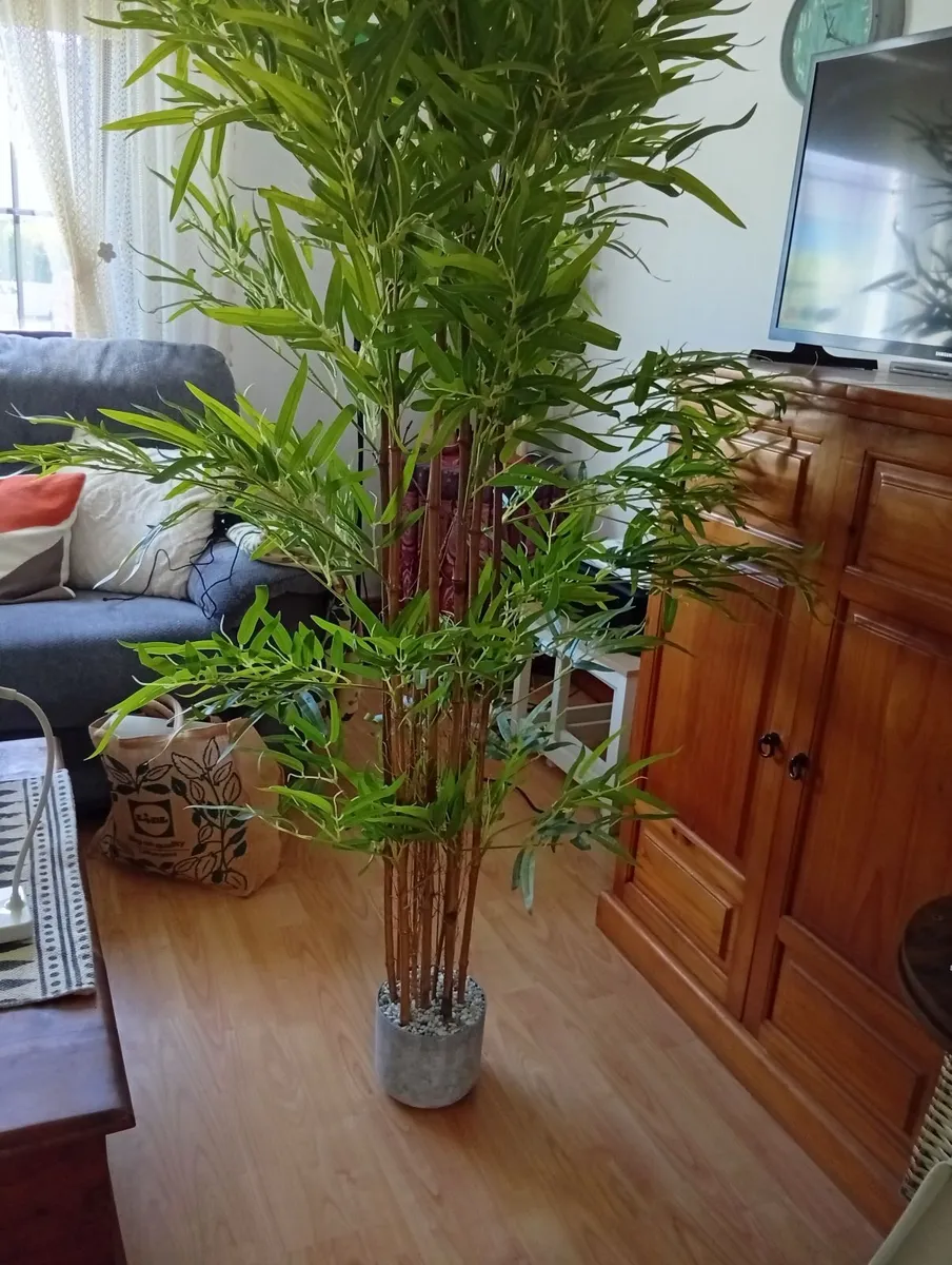 Large, 6 foot, artificial Bamboo plant . - Image 2