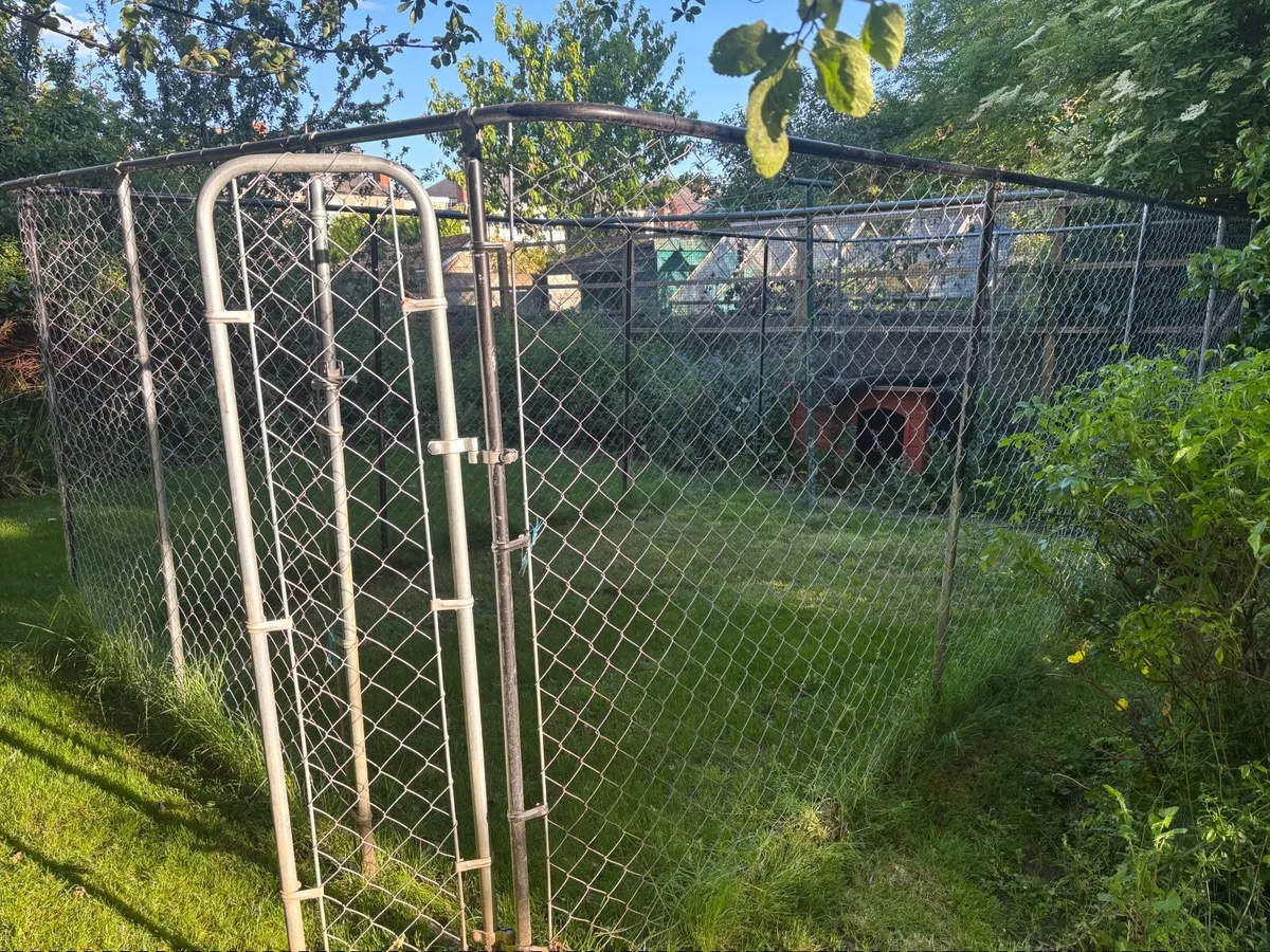 Dog pen - Image 4