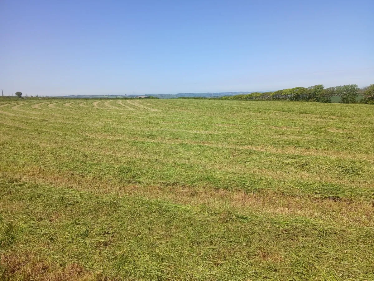 Hay / haylage