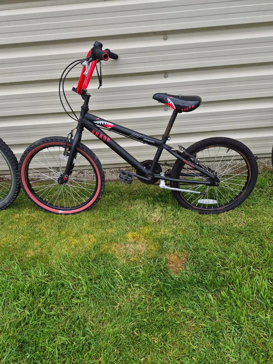 Bike - Image 2