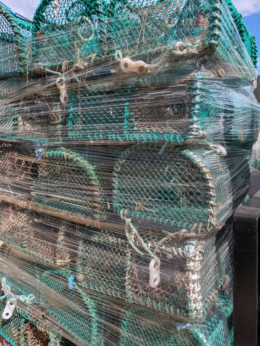 Prawn / green crab pots,  for sale - Image 3