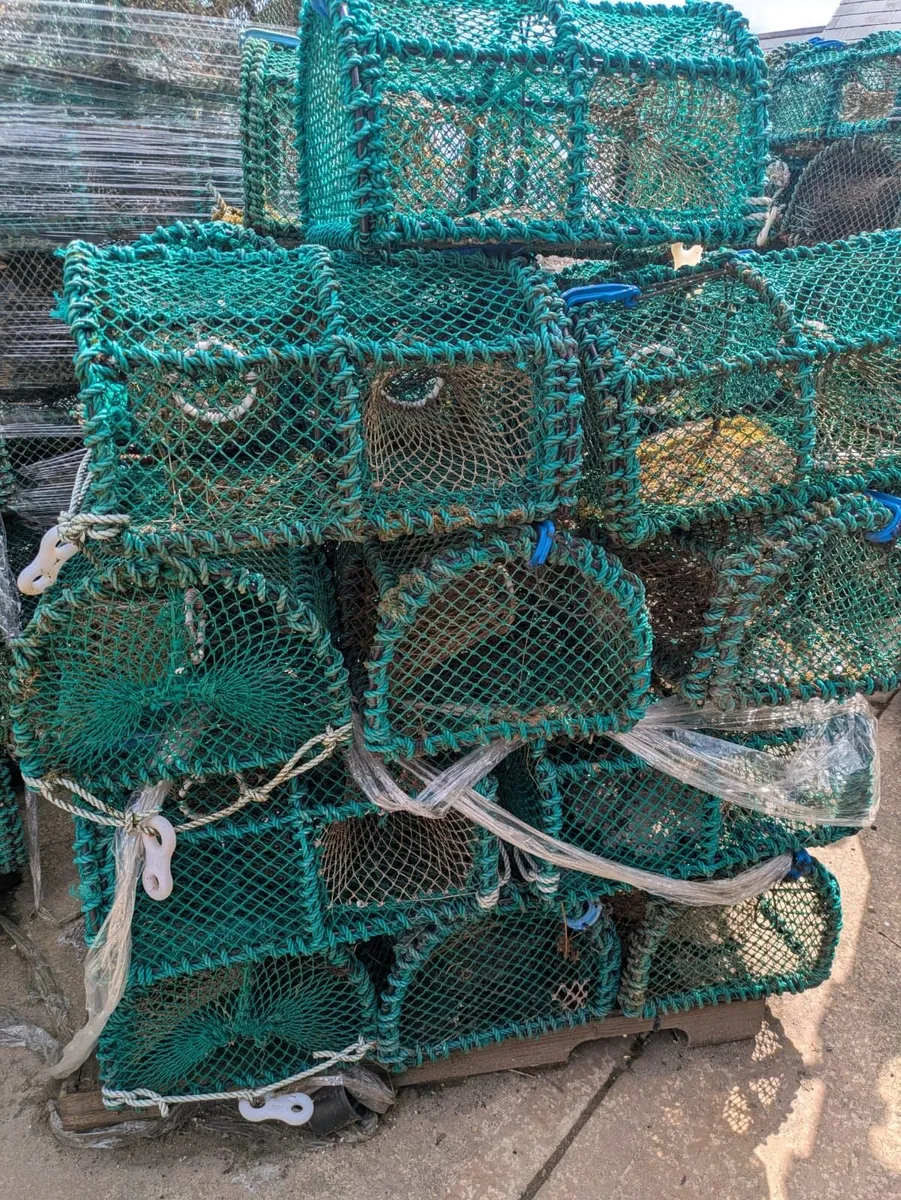 Prawn / green crab pots,  for sale - Image 4