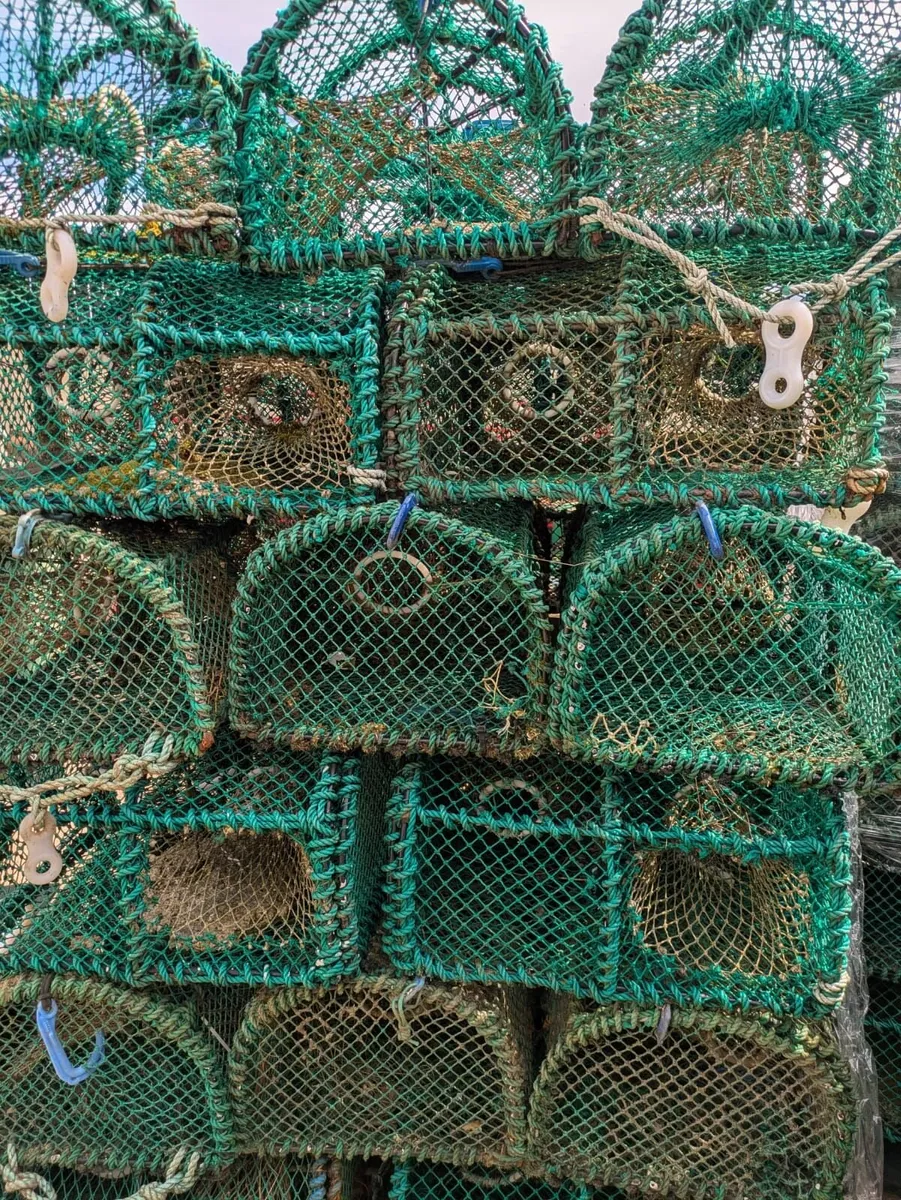 Prawn / green crab pots,  for sale - Image 1