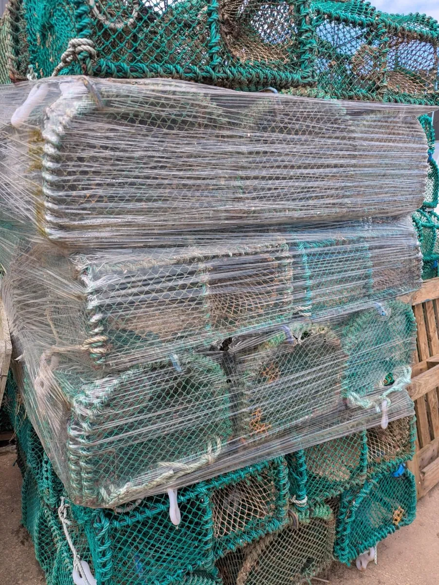 Prawn / green crab pots,  for sale - Image 2