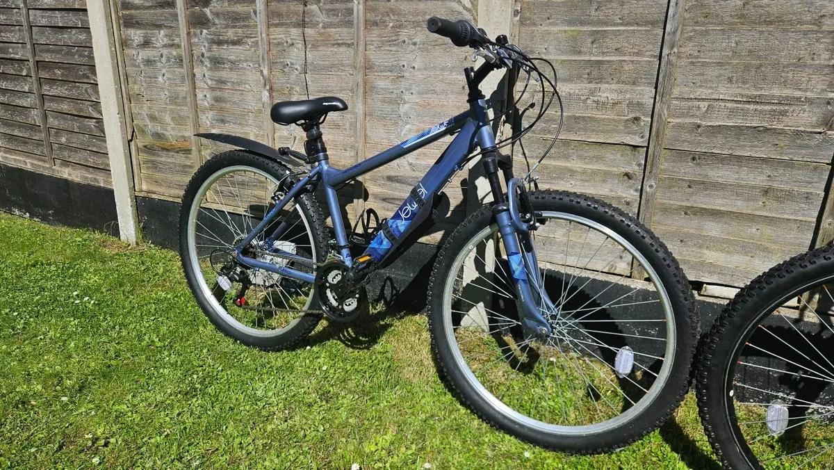 Jewel Apollo Mountain Bike & Phaze  Mountain Bike - Image 3