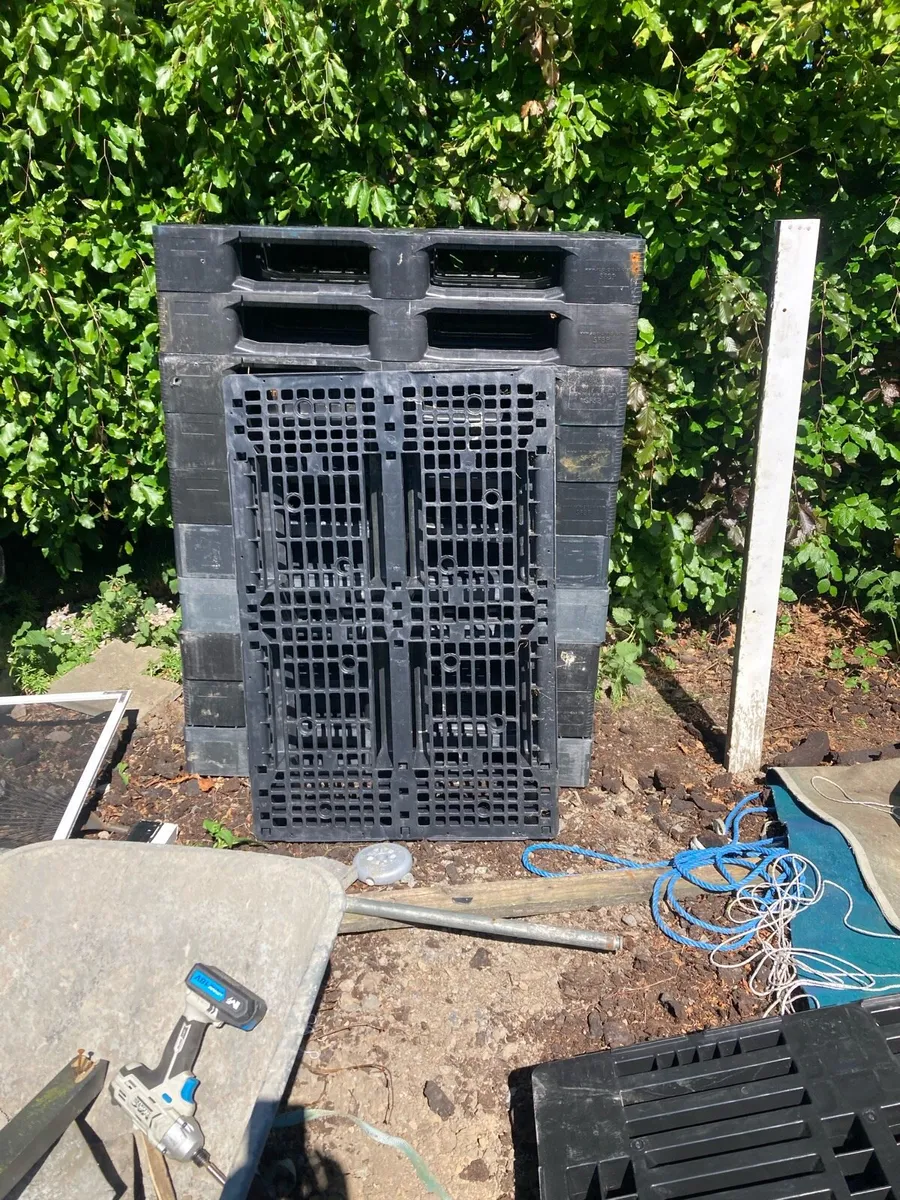 Plastic pallets - Image 1