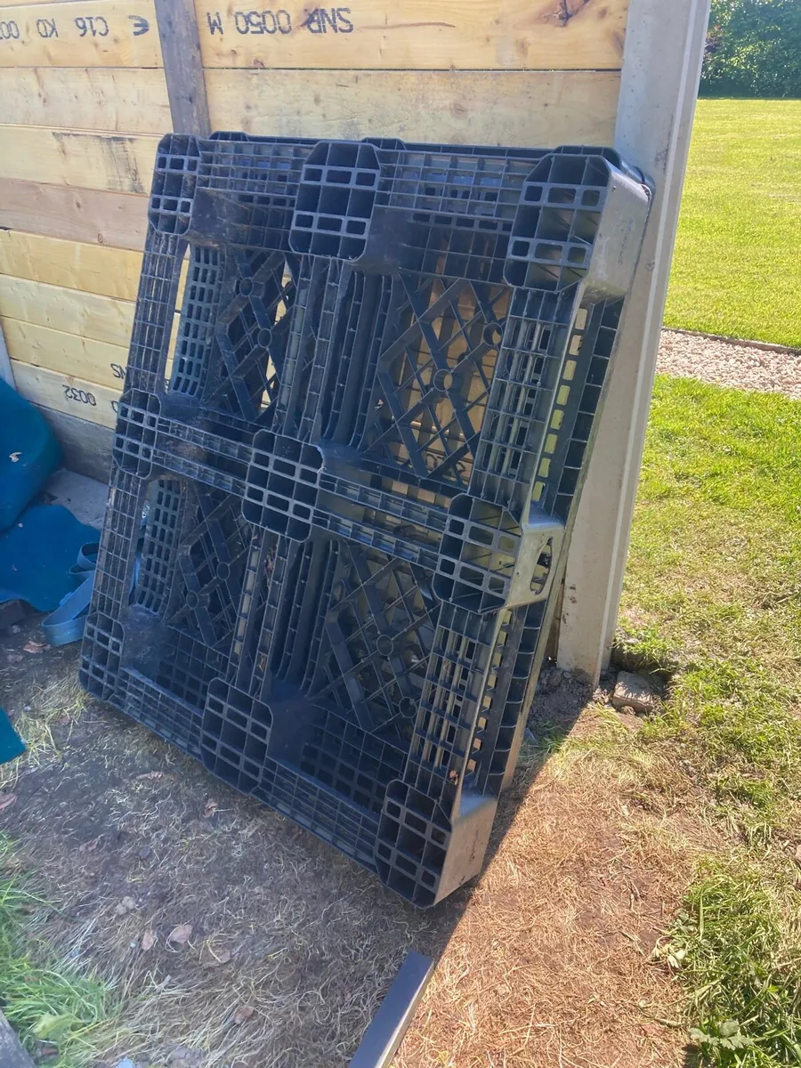 Plastic pallets - Image 2