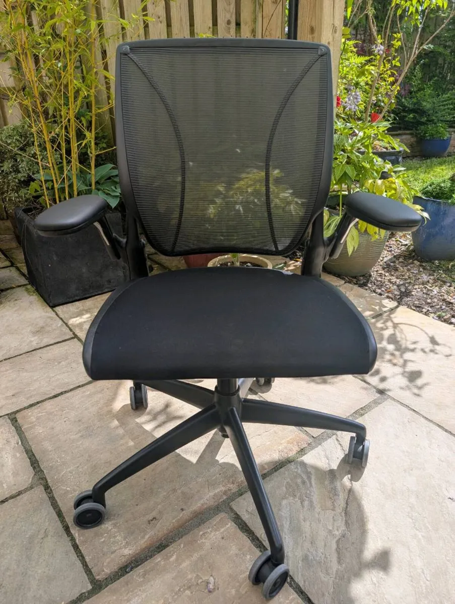 Ergonomic office chair - Image 1