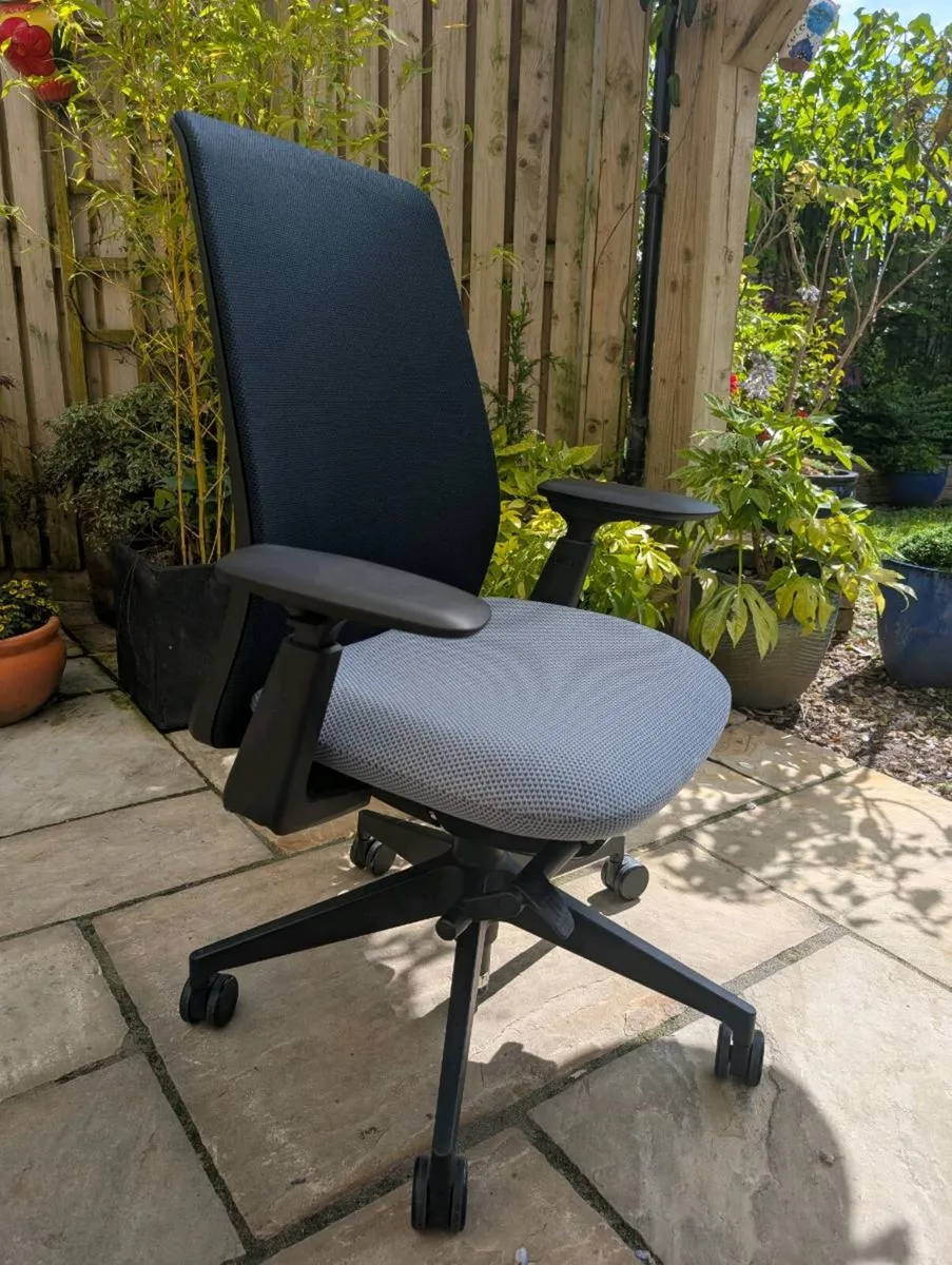 Ergonomic office chair - Image 1