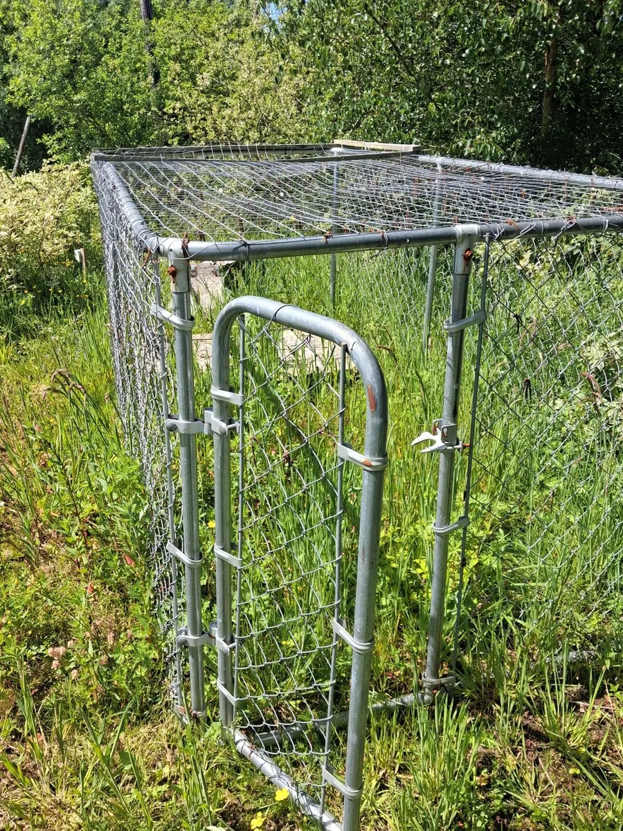 Dog pen