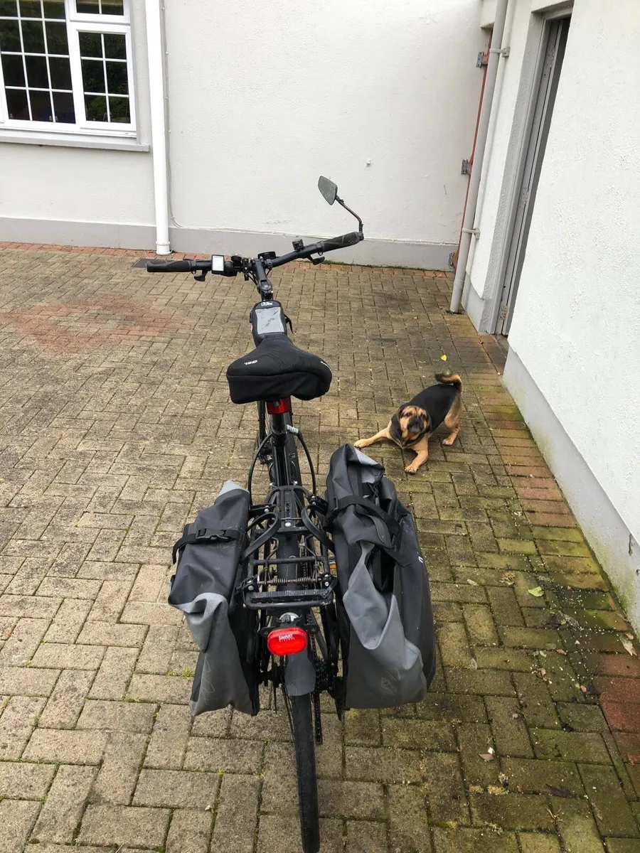 Bike - Image 1