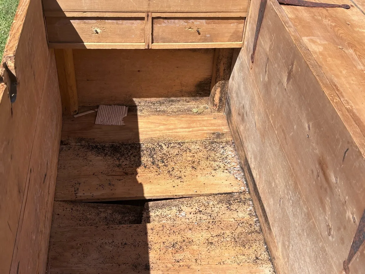 Chest - Image 4