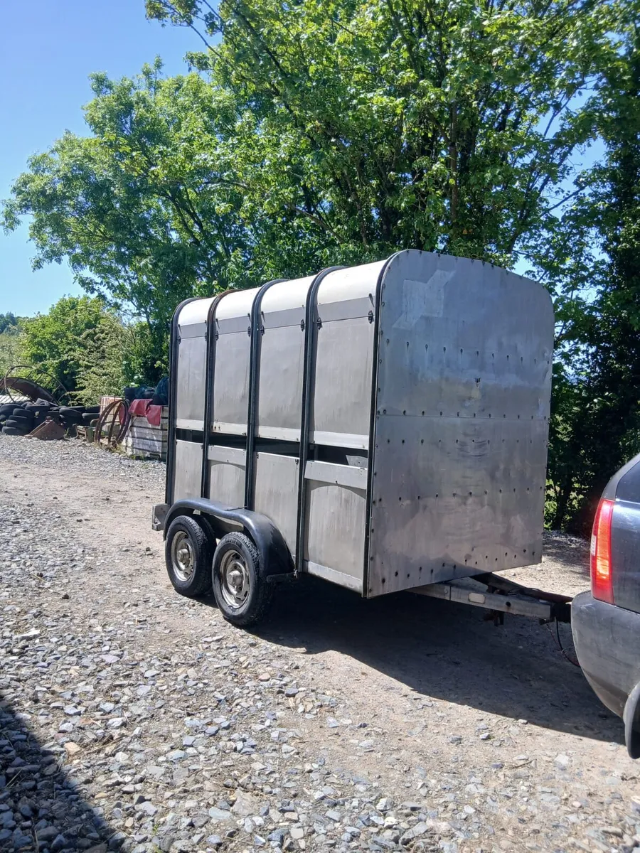 Ifor Williams 8ft x 5ft cow box - Image 1