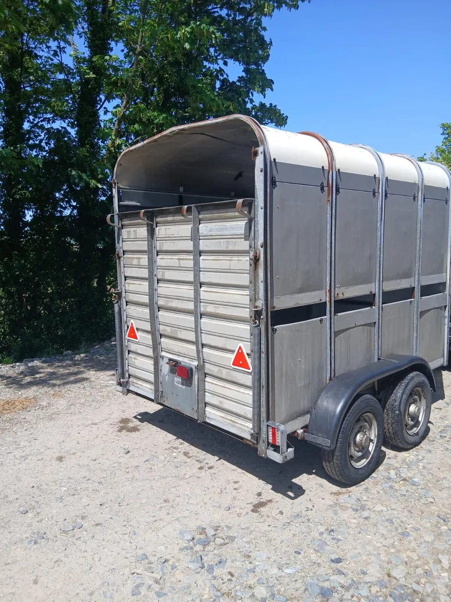 Ifor Williams 8ft x 5ft cow box - Image 4