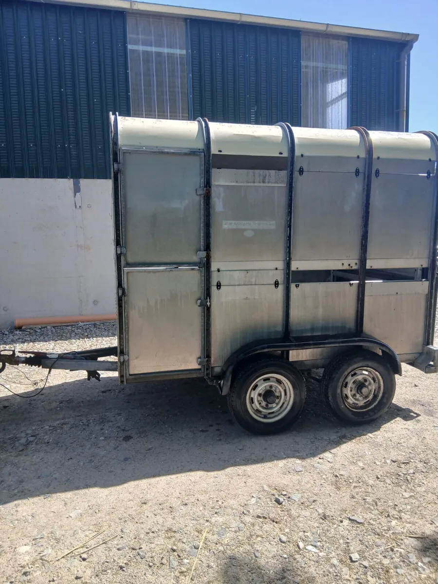 Ifor Williams 8ft x 5ft cow box - Image 2