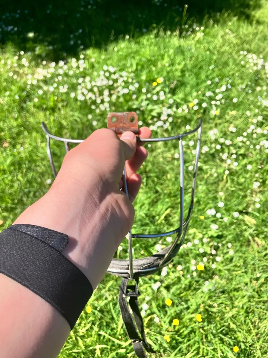 Oldstyle long loop guard - Image 1