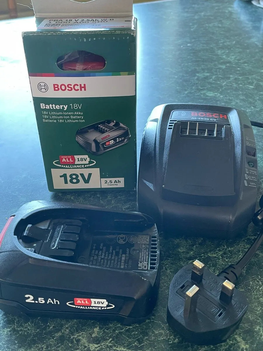 Strimmer batteries and charger - Image 2