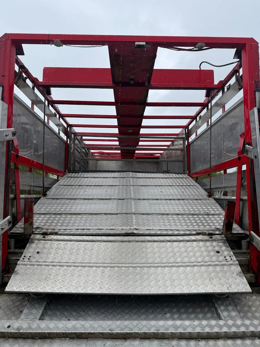 Livestock Scania P270 - Image 2