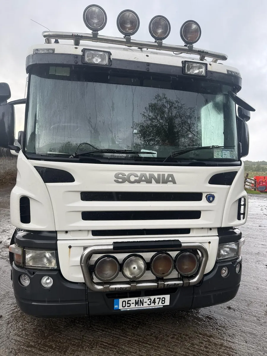 Livestock Scania P270 - Image 1