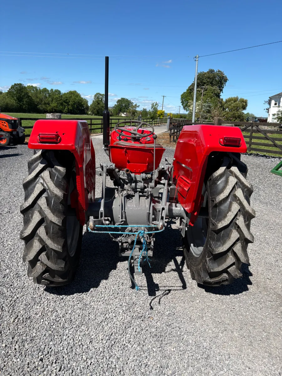 Massey Ferguson 135 - Image 3