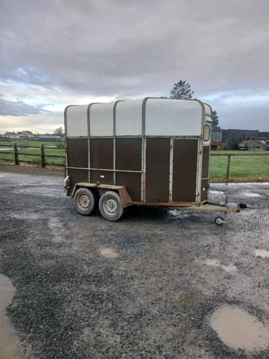 Horse Box - Image 3