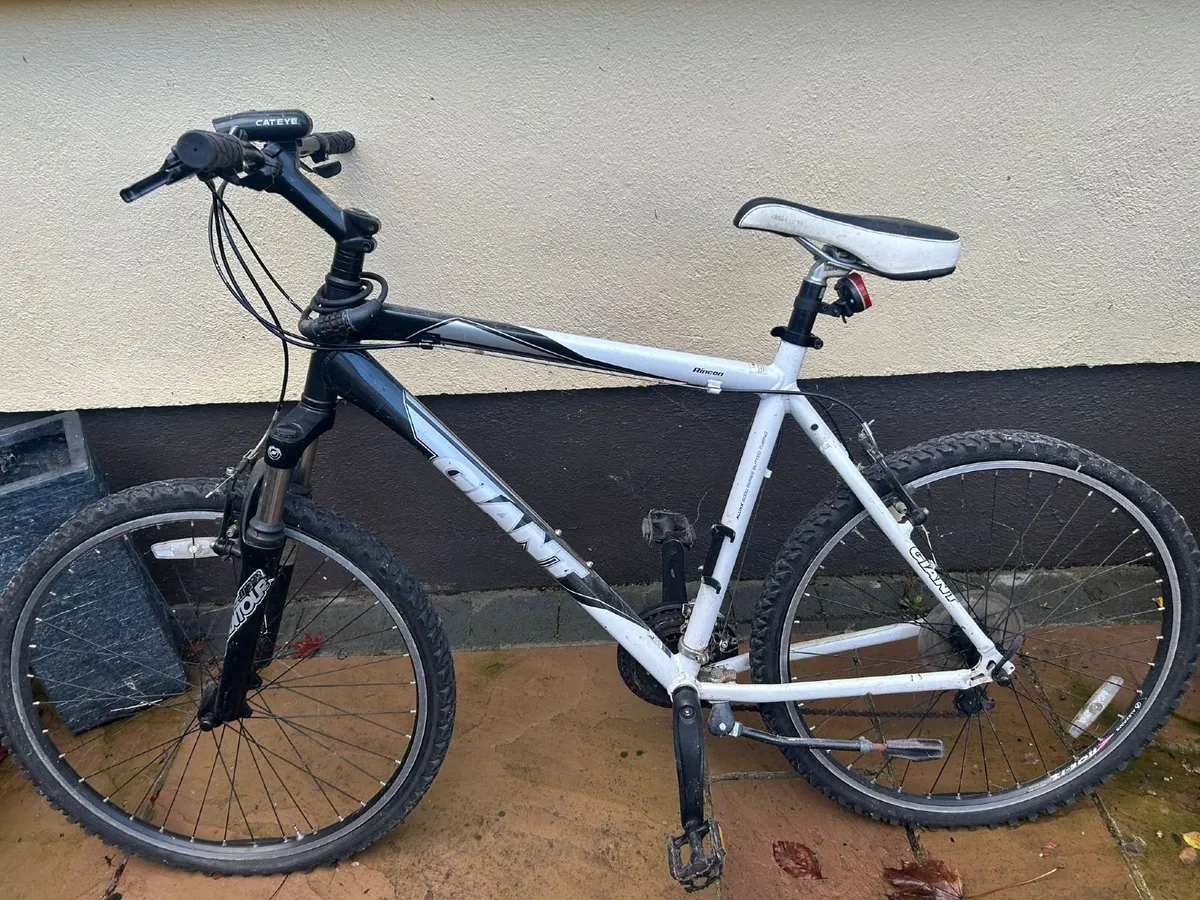 Bikes - Image 1