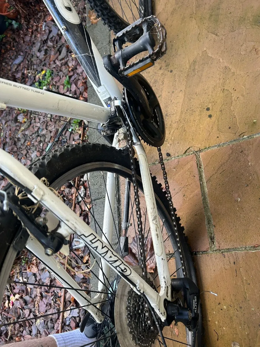 Bikes - Image 2
