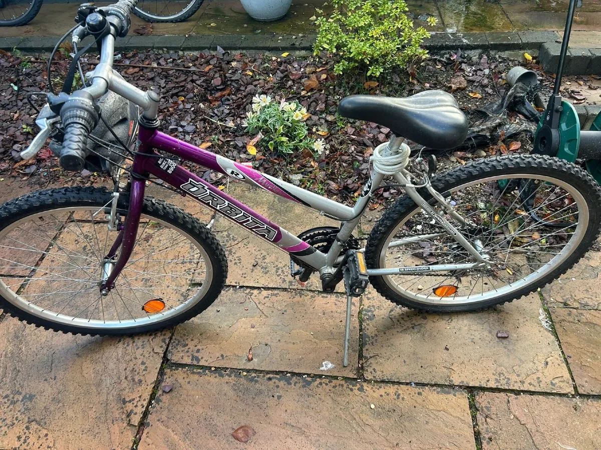 Bikes - Image 3