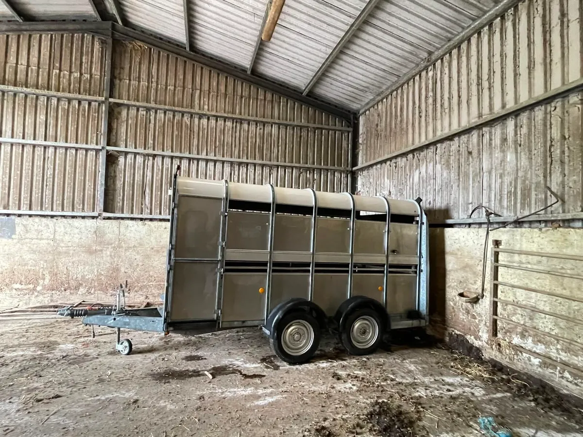 ifor Williams cattle Trailler - Image 1