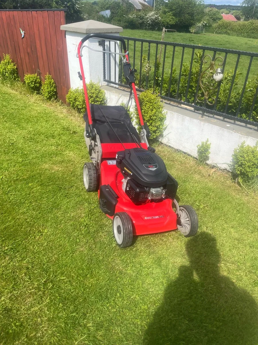 Weibang lawnmower - Image 1