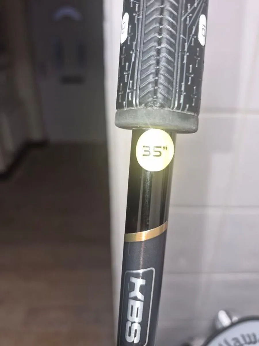 spider putter - Image 1
