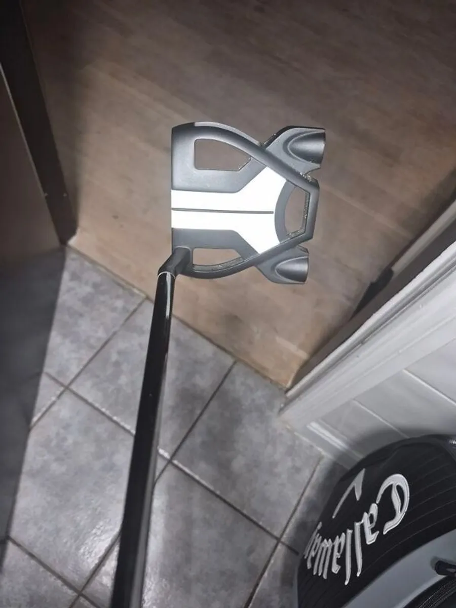 spider putter - Image 2