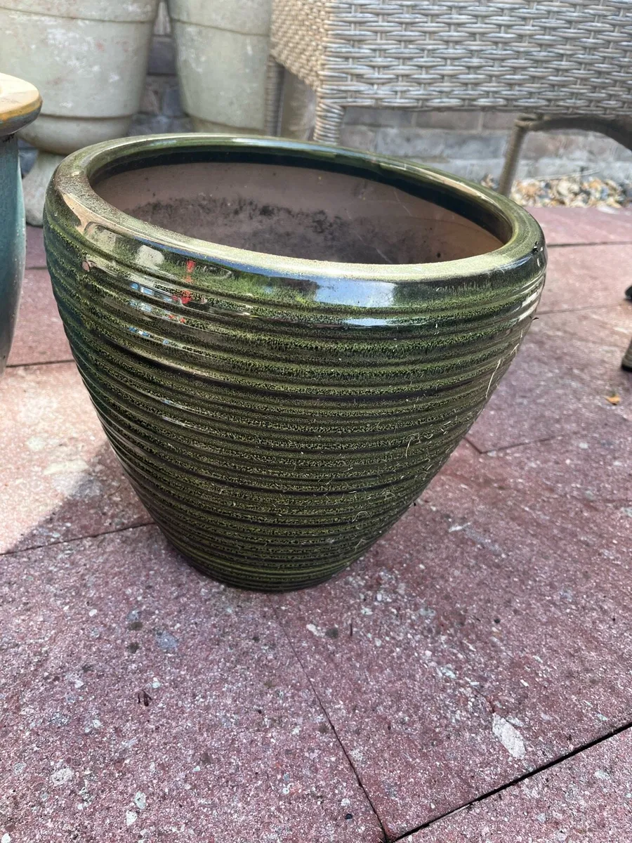 Free green ceramic pots - Image 3