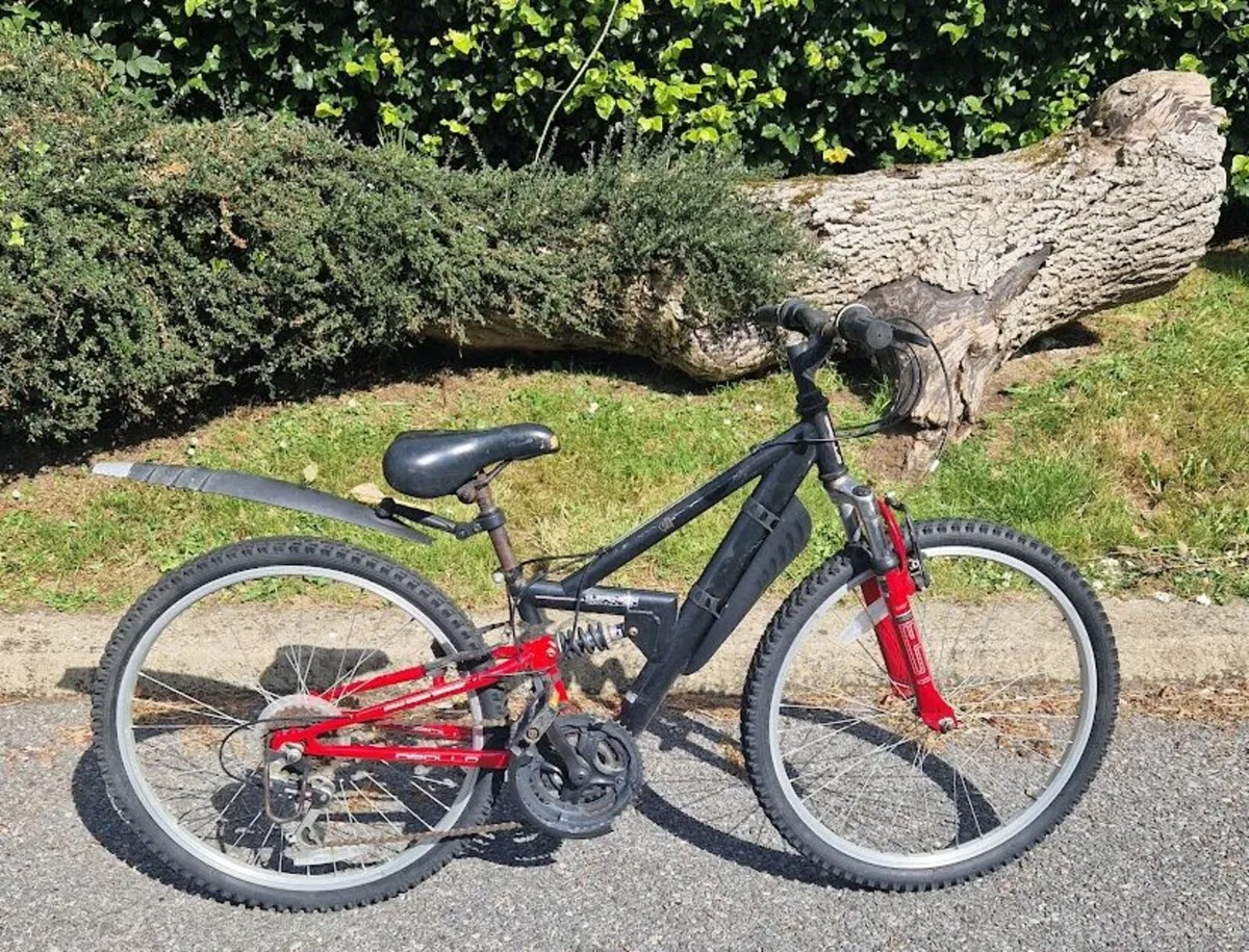bikes and go-karts - Image 3