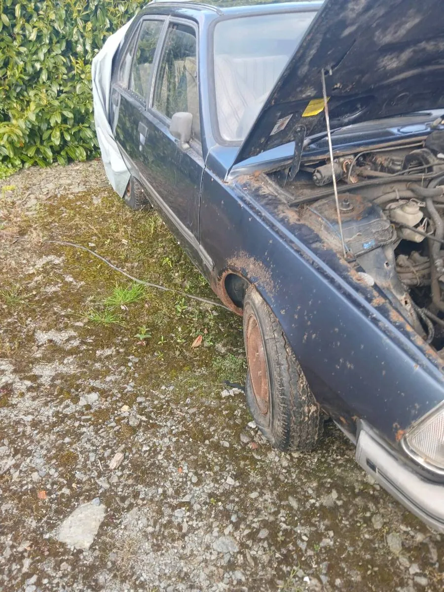 Car - Image 2