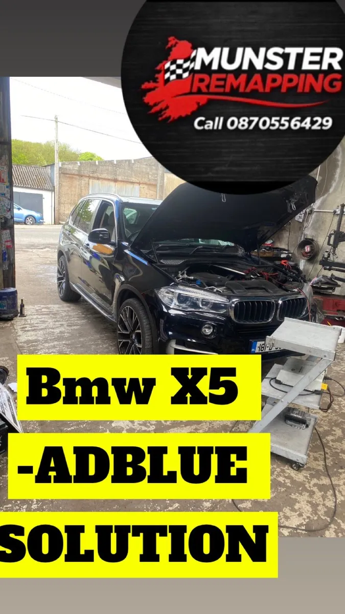 Munster Remaps & Solution (Adblue / DPF) - Image 2