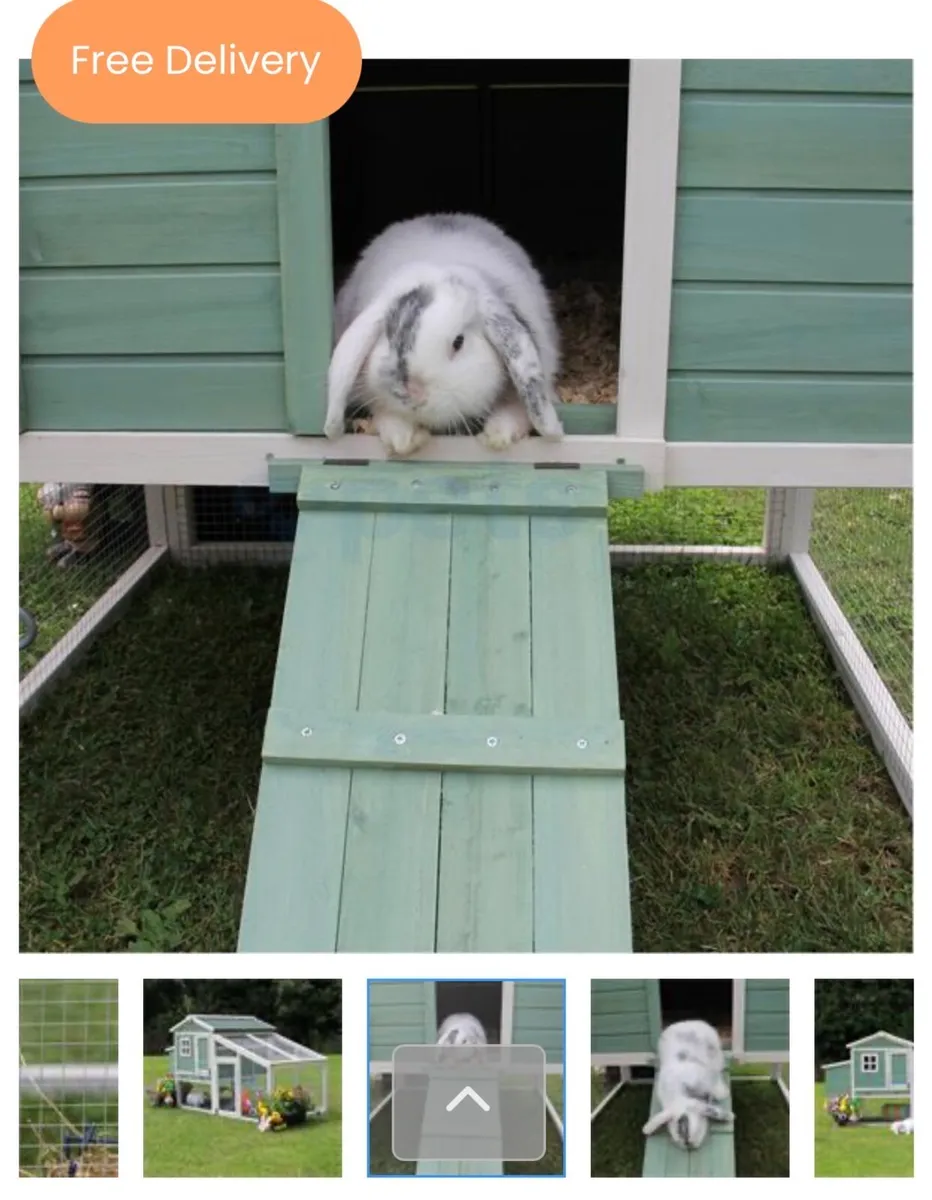 Beautiful Rabbit Hutch - Image 3
