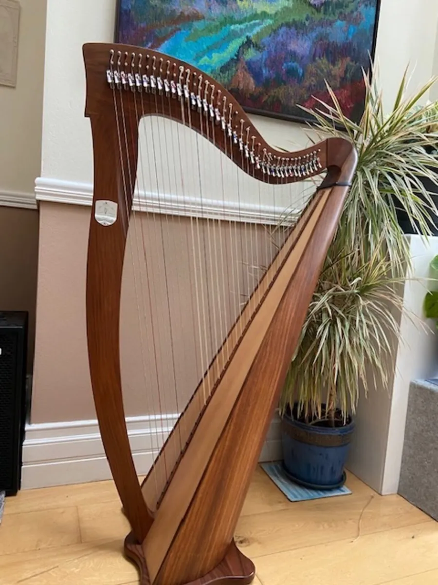 38 string McHugh Ayra Harp stringed instruments