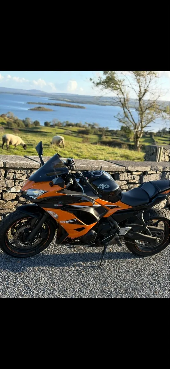 2018 Ninja 650 - Image 1