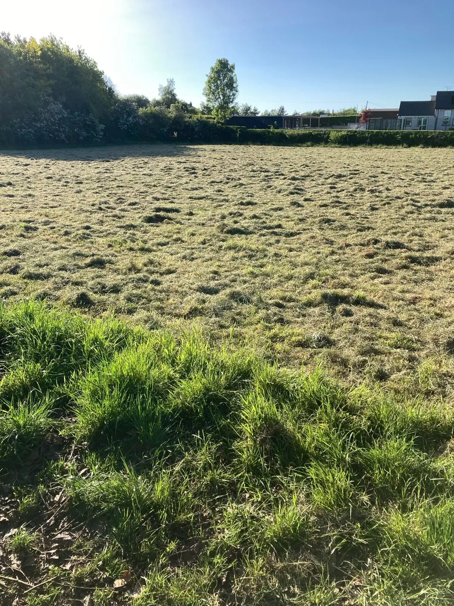 This years Hay for sale