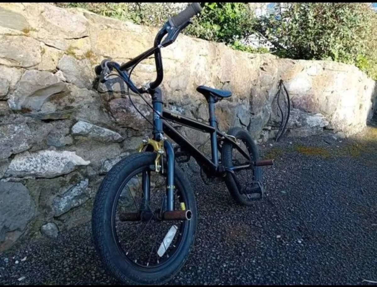 16 inch bmx with pegs - Image 1