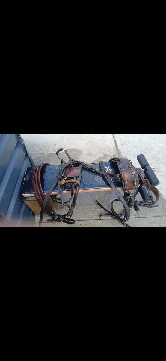 Driving harness for horse - Image 1