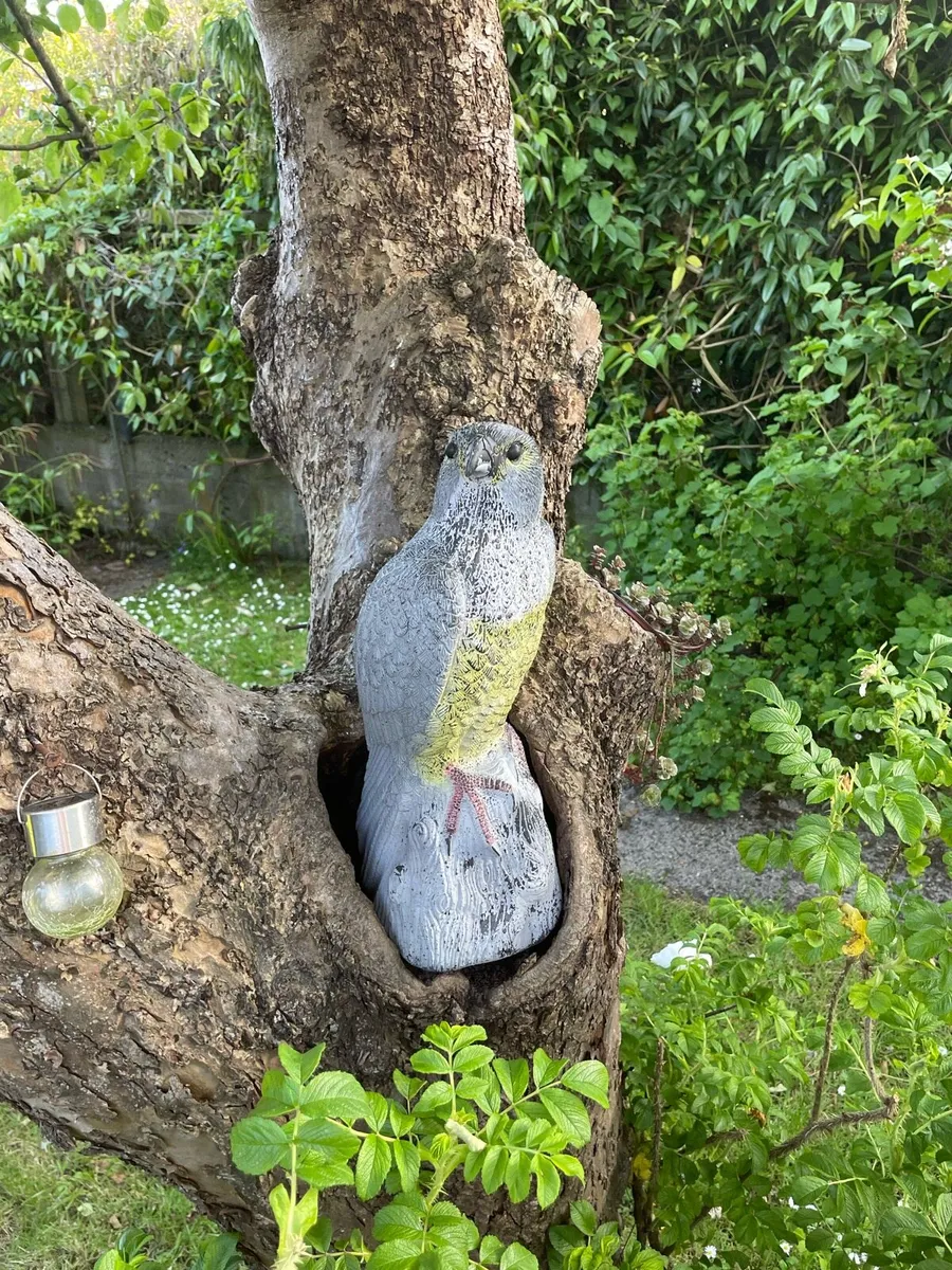 Eagle statue - Image 1