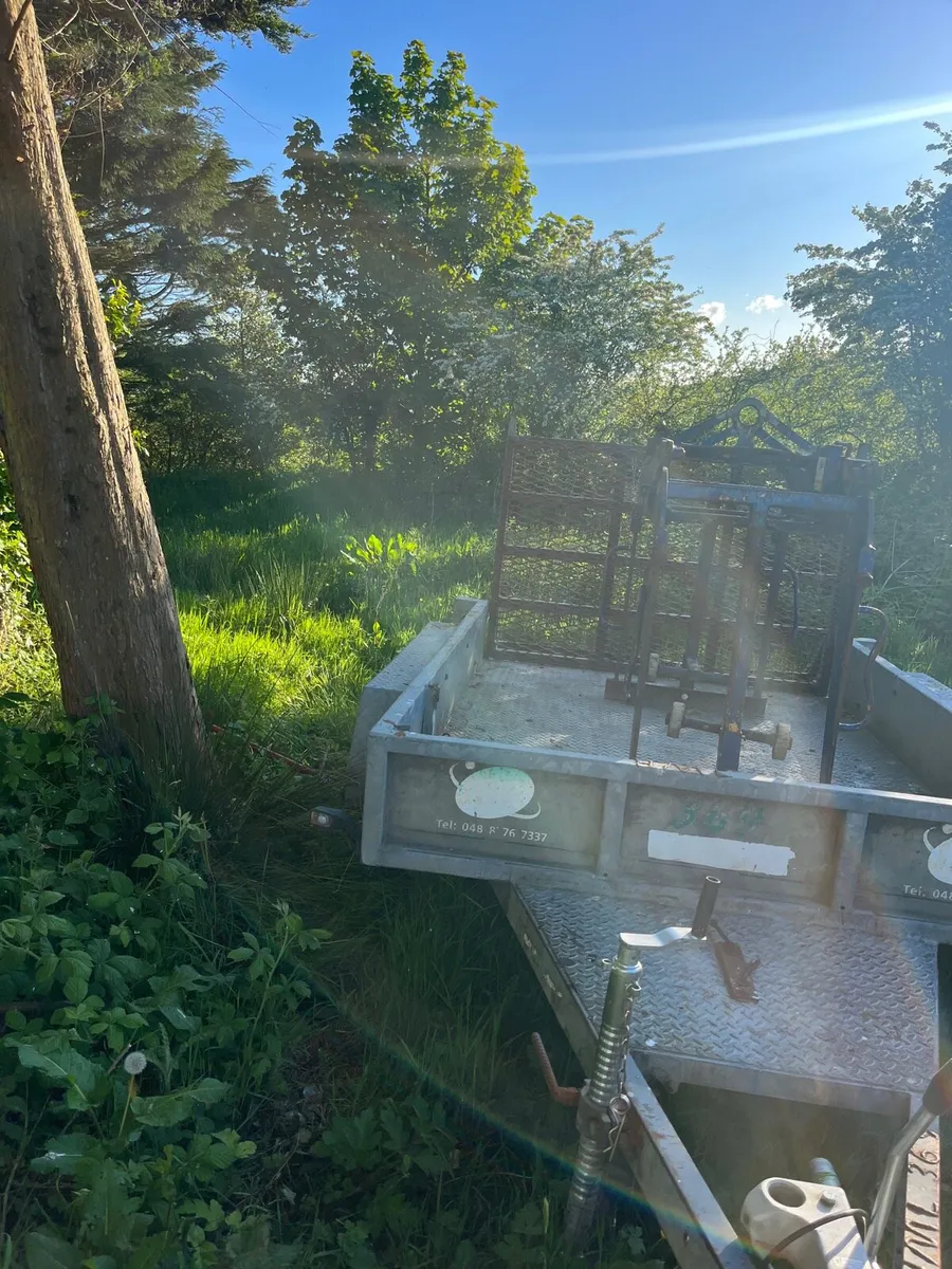 4 plant trailers in stock - Image 2