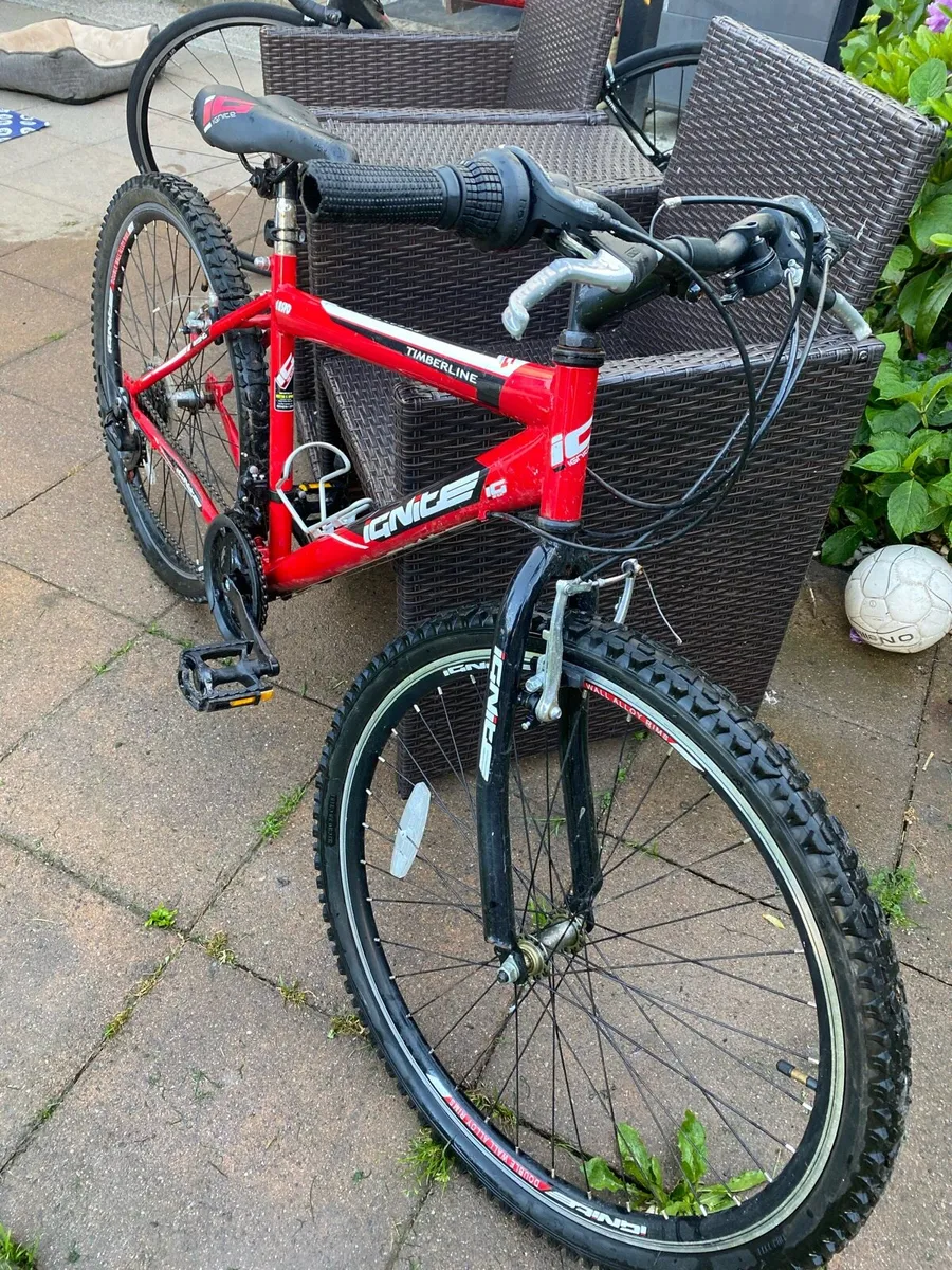 Mountain bike - Image 3