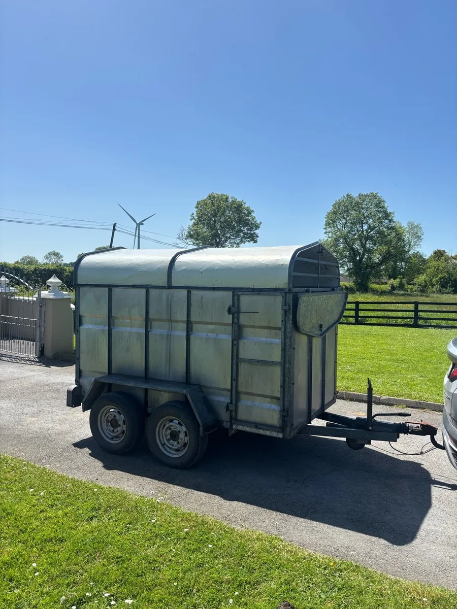 Joyce cattle trailer - Image 1