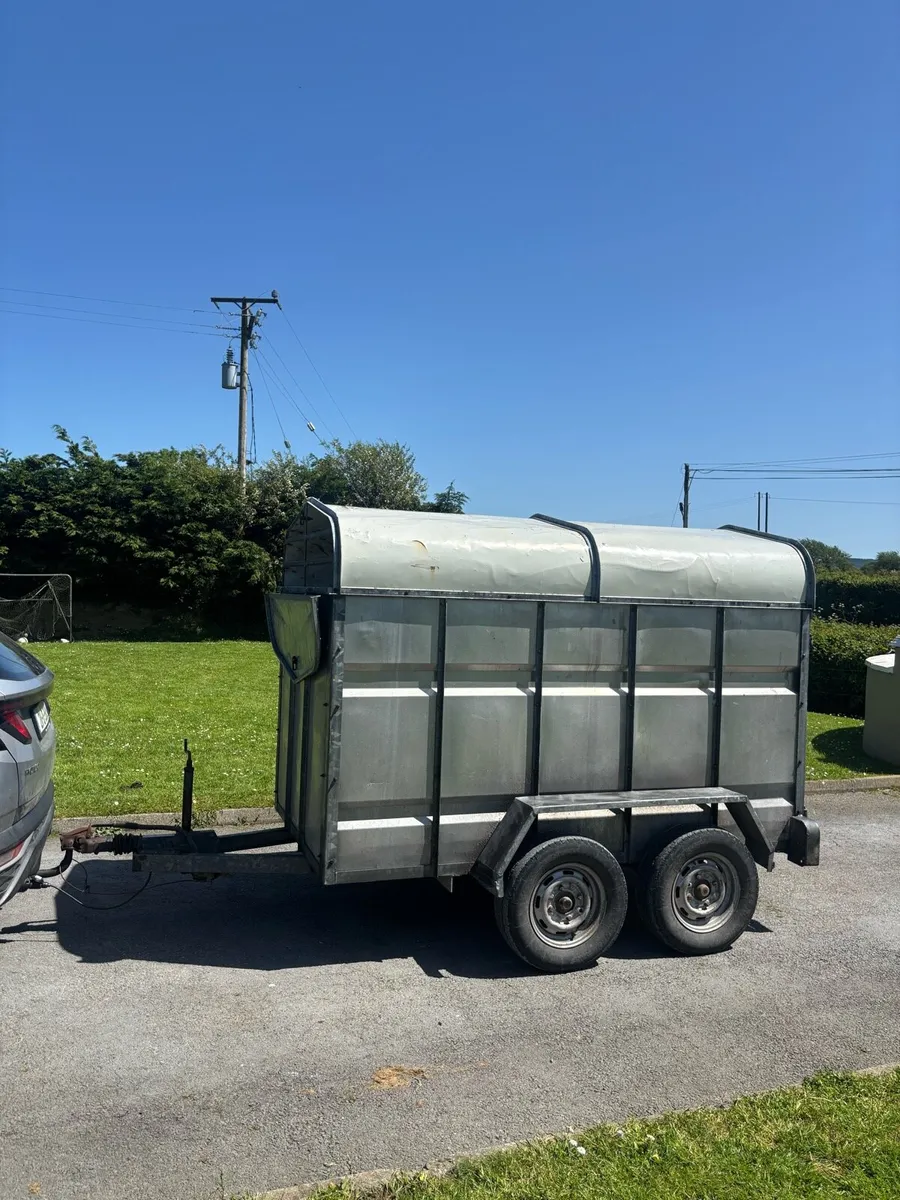 Joyce cattle trailer - Image 2