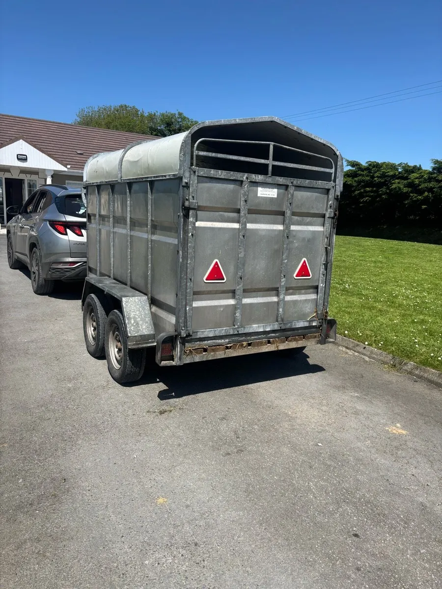 Joyce cattle trailer - Image 3